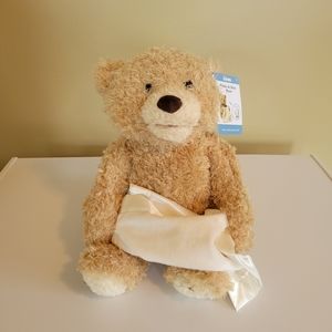 Baby Gund Peek-A-Boo Bear Interactive Plush Stuffed Toy 12" #320193 WORKS